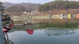 금광호수낚시터 유료낚시터 > 주말조황 입니다. : 낚시사랑