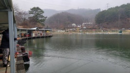 금광호수낚시터 유료낚시터 > 주말조황 좋습니다. : 낚시사랑