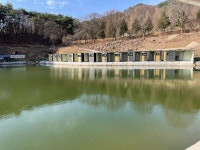 여주관광농원낚시터 유료낚시터 > 3/25일부터 물낚시 가능합니다. : 낚시사랑