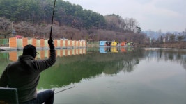금광호수낚시터 유료낚시터 > 100수조사님 또 나왔어요.평일대박조황 : 낚시사랑