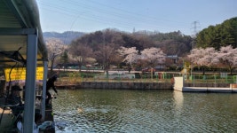 금광호수낚시터 유료낚시터 > 이번주토요일 정식개장 조황사진. : 낚시사랑