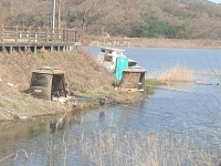 오류내낚시터 유료낚시터 > 조황소식 : 낚시사랑