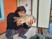 용담낚시터 유료낚시터 > 40마리를 향해~용담 4짜 벚꽃 봄붕어 소식!! : 낚시사랑