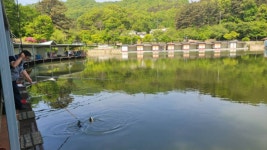 금광호수낚시터 유료낚시터 > 평일조황 입니다. : 낚시사랑