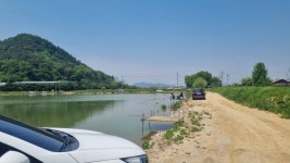 철원냉정낚시터 유료낚시터 > 포천냉정지 자연산토종붕어오름수위 주말조황대박 : 낚시사랑