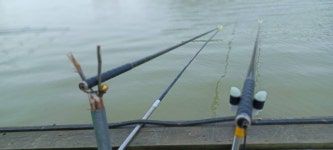 어우실지. 유료낚시터 > 전좌대에서는 입질이좋았네요 : 낚시사랑