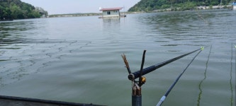 어우실지. 유료낚시터 > 전좌대에서는 입질이좋았네요 : 낚시사랑