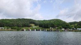 용담낚시터 유료낚시터 > 낮낚시도 아주 좋습니다!! 4짜들의 행진!!! : 낚시사랑