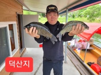 덕산지 유료낚시터 > 안성덕산지 주말조황사진입니다 : 낚시사랑