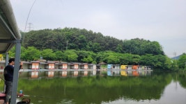 금광호수낚시터 유료낚시터 > 평일조황 : 낚시사랑