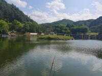 도장골낚시터 유료낚시터 > 가평 도장골낚시터 소식 : 낚시사랑