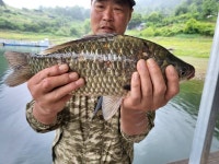 목벌낚시터 유료낚시터 > 사짜대물과 허리급월척 : 낚시사랑