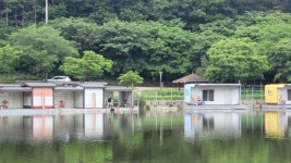 금광호수낚시터 유료낚시터 > 월요일 조황 : 낚시사랑