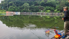 금광호수낚시터 유료낚시터 > 찌올림이 너무 좋네요... : 낚시사랑