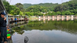 금광호수낚시터 유료낚시터 > 일요일 조황 좋네요. : 낚시사랑