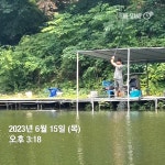 한일지기 유료낚시터 > -한일낚시터 목요일 방류& 조황 소식- : 낚시사랑