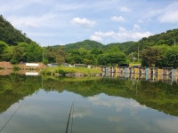 도장골낚시터 유료낚시터 > 가평 도장골낚시터 소식 : 낚시사랑