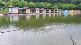 금광호수낚시터 유료낚시터 > 평일조황 입니다. : 낚시사랑