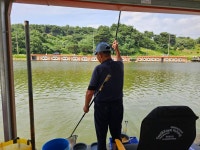 밤밭낚시터 유료낚시터 > 7/7 금 붕어낚시 열심히 나옵니다 : 낚시사랑