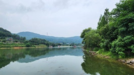 덕산지 유료낚시터 > 안성덕산지 입니다 : 낚시사랑