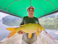 안성죽산장계낚시터 유료낚시터 > 힐링속에공간을찾아서 : 낚시사랑