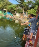 세월낚시터 유료낚시터 > 7. 29 (토) 세월낚시터 개장 후 조황정보입니다. : 낚시사랑