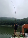 추곡낚시터 유료낚시터 > 조황정보 &향어방류합니다. : 낚시사랑