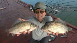 송전지장수좌대 유료낚시터 > 조황정보입니다 : 낚시사랑