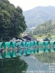추곡낚시터 유료낚시터 > 조황정보 입니다.~^^ : 낚시사랑