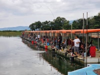밤밭낚시터 유료낚시터 > 밤밭 이번주 토요일 1톤 대방류 : 낚시사랑