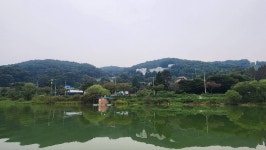 덕산지 유료낚시터 > 안성 덕산지 조황사진올립니다 : 낚시사랑