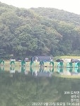 추곡낚시터 유료낚시터 > 향어방류함.!!! : 낚시사랑