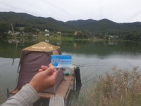 오류내낚시터 유료낚시터 > 조황소식 : 낚시사랑