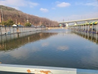 어천낚시터지기 유료낚시터 > 조황 정보및 노지,잔교낚시가능 : 낚시사랑