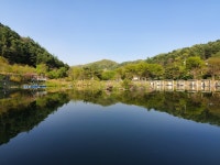 도장골낚시터 유료낚시터 > 가평 도장골낚시터 오픈소식 : 낚시사랑