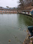 금광호수낚시터 유료낚시터 > 올해 첫 100수 탄생. : 낚시사랑