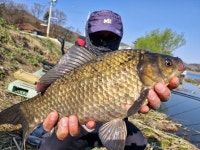 오류내낚시터 유료낚시터 > 조황소식 : 낚시사랑