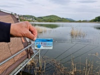 오류내낚시터 유료낚시터 > 4짜는 아무나 잡는다 속보!!!! : 낚시사랑