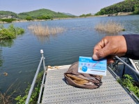 오류내낚시터 유료낚시터 > 배수중에도 4짜는 : 낚시사랑