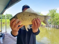 서울좌대 유료낚시터 > 서/울/좌/대 / 주말 조황보고 : 낚시사랑