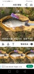 어천낚시터지기 유료낚시터 > 토종붕어 4짜소식 (138번째 ) : 낚시사랑