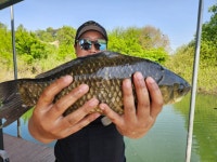 고삼 느티나무좌대 유료낚시터 > 대물들의 습격 ^^~~~ : 낚시사랑