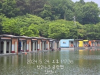 금광호수낚시터 유료낚시터 > 금요일 조황 : 낚시사랑