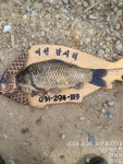 어천낚시터지기 유료낚시터 > 토종붕어 4짜소식 (167번째) : 낚시사랑