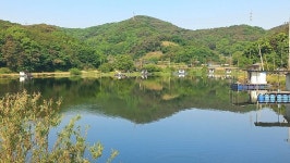 당진항곡낚시터 유료낚시터 > 주중 조황 입니다 : 낚시사랑