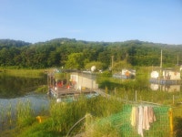 당진항곡낚시터 유료낚시터 > 주말조황 입니다 : 낚시사랑