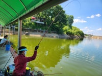 안성죽산장계낚시터 유료낚시터 > 힐링속에공간을찾아서 : 낚시사랑