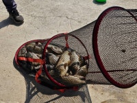 안석낚시터 유료낚시터 > 안석낚시터 입니다. 감사합니다. : 낚시사랑