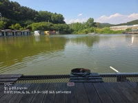 금광호수낚시터 유료낚시터 > 일요일 조황 입니다., : 낚시사랑