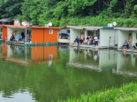 동막지기 유료낚시터 > 토종붕어방류 : 낚시사랑